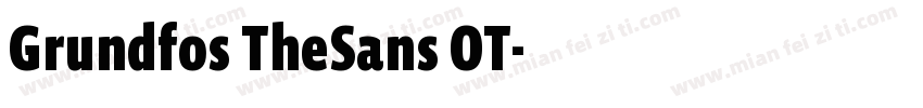 Grundfos TheSans OT字体转换